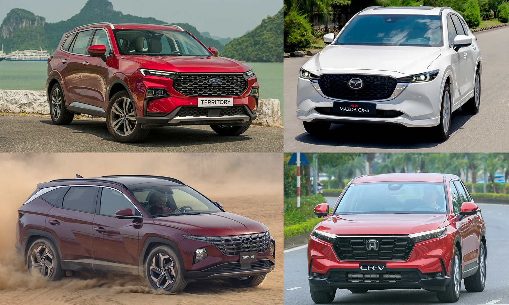 Bốn mẫu xe dẫn đầu doanh số phân khúc CUV cỡ C tại Việt Nam. Ảnh: Ford, HTC, Thaco, Lương Dũng